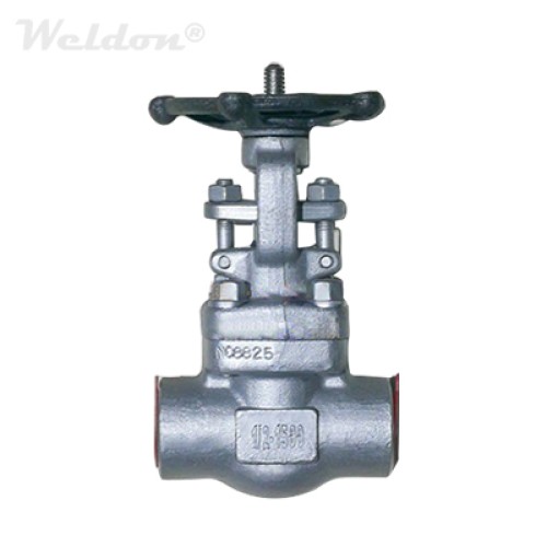 25mm GM MAKE Gate Valve SW SE 1500 Straight Bolted Bonne